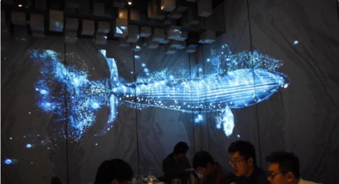 全息影像在展館中的影響力有多大？